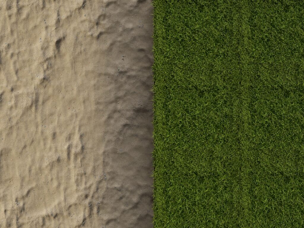 xeomin before and after