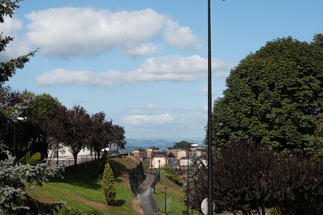 jeuveau before and after
