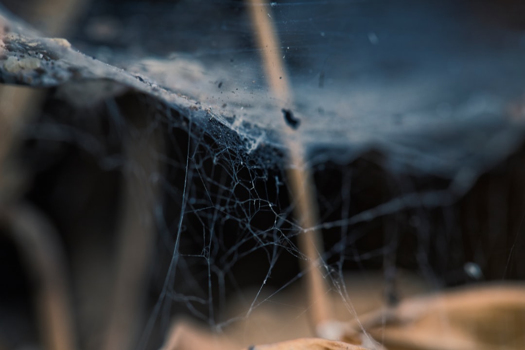 Spider Vein Therapy