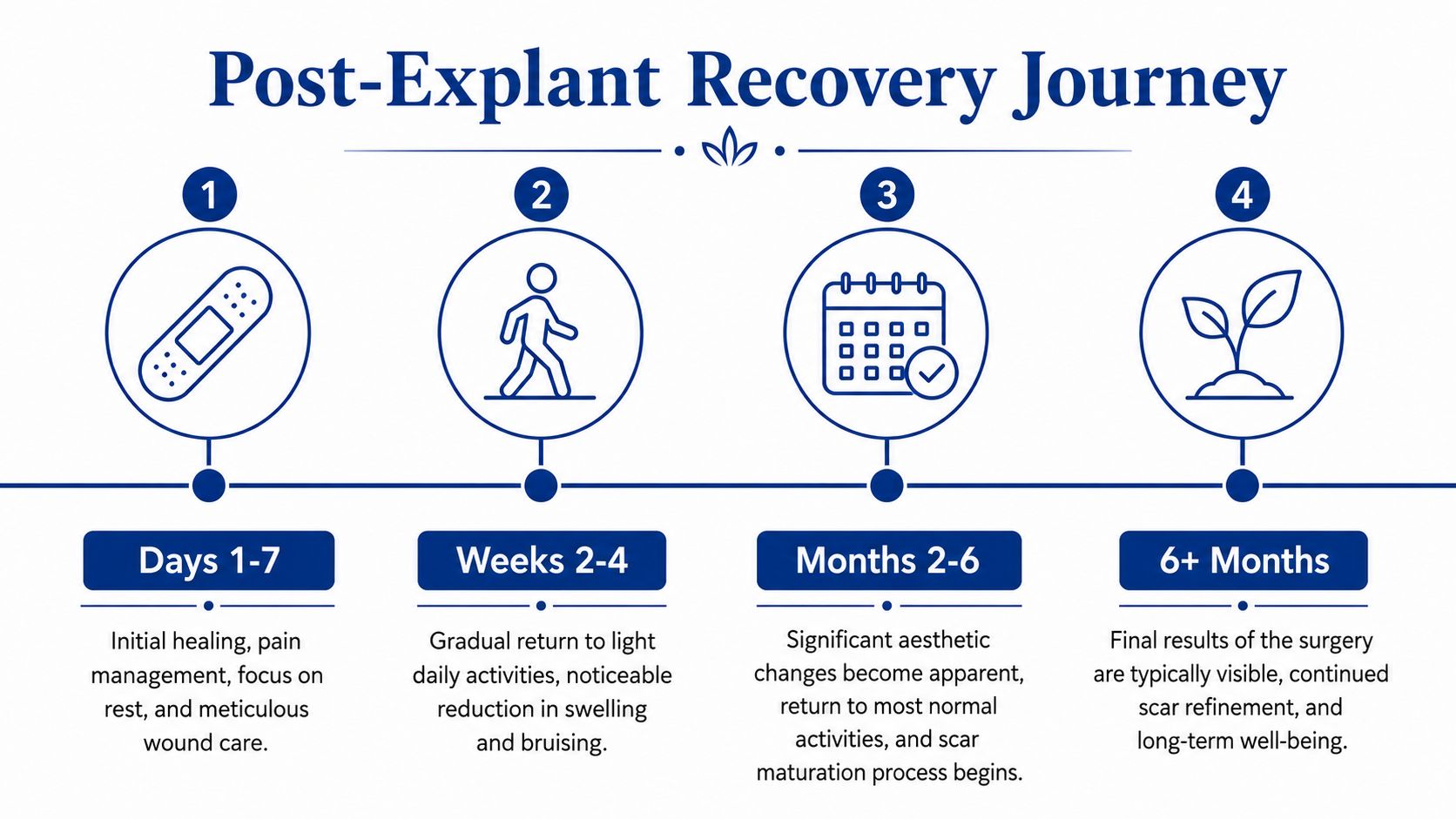 A timeline infographic titled Post-Explant Recovery Journey outlining four stages from initial healing to long-term results.