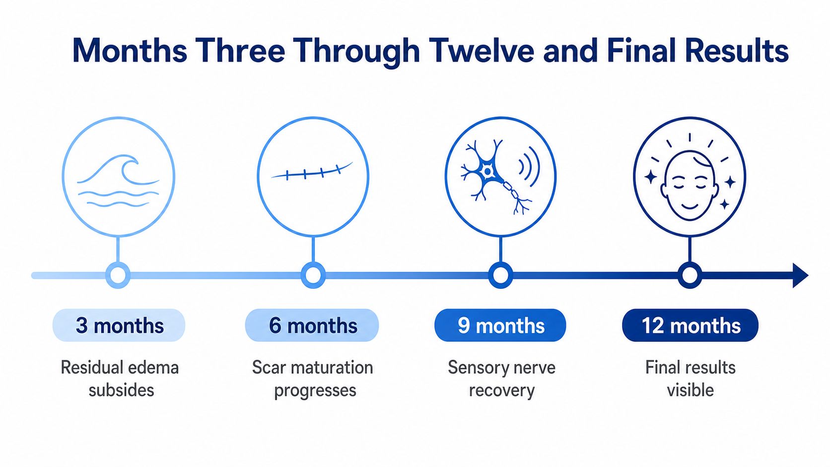 A timeline graphic showing the facial surgery recovery process from three months to twelve months post-operation.