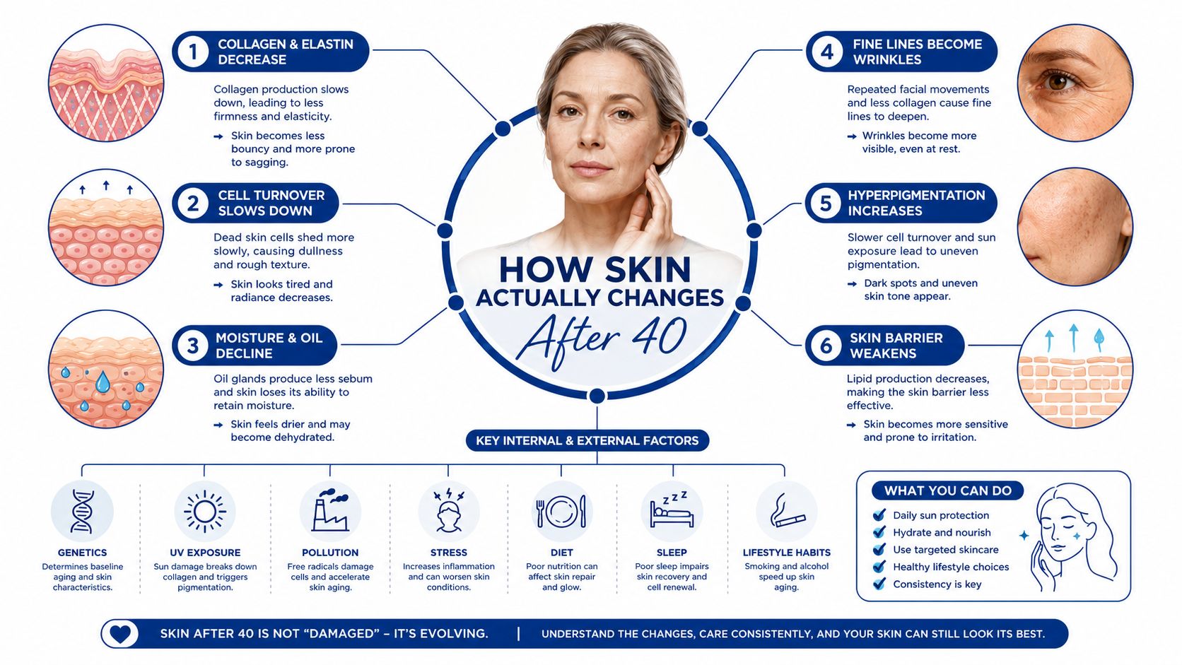An infographic detailing how skin naturally changes after age 40, including factors and skincare tips.