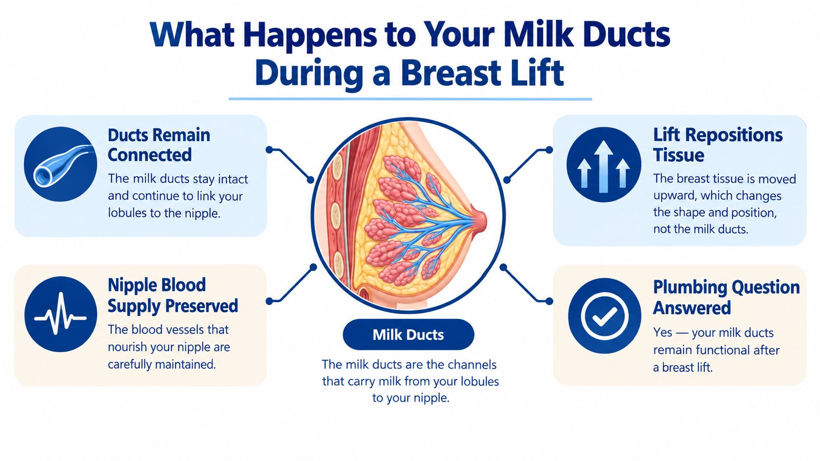 A diagram explaining that milk ducts remain functional and connected to the nipple after a breast lift surgery.