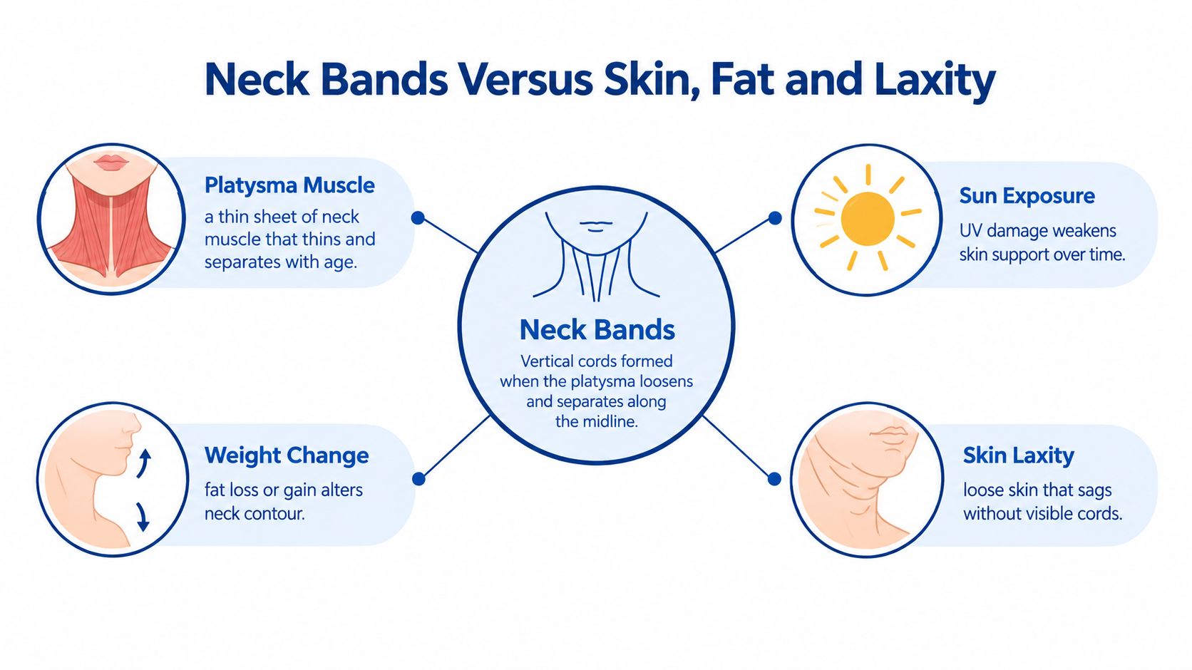 An infographic showing factors causing neck bands, including platysma muscle changes, sun exposure, weight fluctuations, and skin laxity.